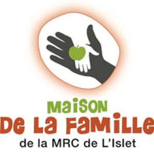 Décorez pour noël sans vous ruiner